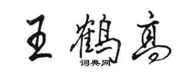 駱恆光王鶴高行書個性簽名怎么寫