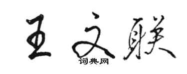 駱恆光王文聯行書個性簽名怎么寫