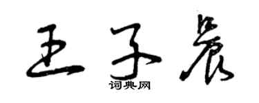 曾慶福王子晨草書個性簽名怎么寫