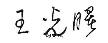 駱恆光王光曙草書個性簽名怎么寫