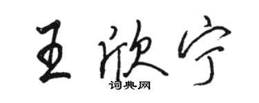 駱恆光王欣寧行書個性簽名怎么寫