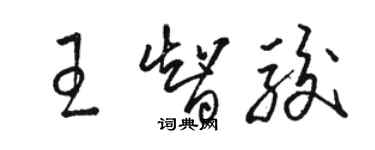 駱恆光王智駿草書個性簽名怎么寫