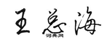駱恆光王總海行書個性簽名怎么寫