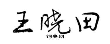 曾慶福王曉田行書個性簽名怎么寫