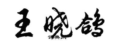 胡問遂王曉鴿行書個性簽名怎么寫