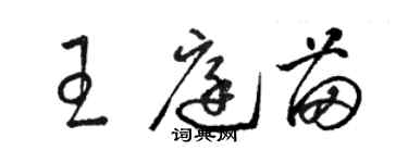 駱恆光王庭苗草書個性簽名怎么寫