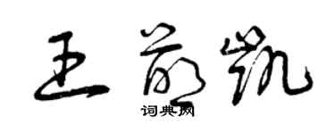 曾慶福王萌凱草書個性簽名怎么寫