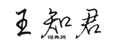 駱恆光王知君行書個性簽名怎么寫