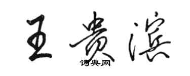 駱恆光王貴濱行書個性簽名怎么寫