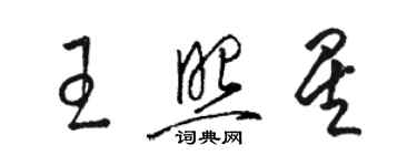 駱恆光王照星草書個性簽名怎么寫