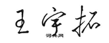 駱恆光王宇拓草書個性簽名怎么寫