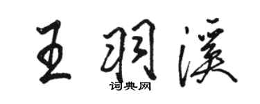 駱恆光王羽溪行書個性簽名怎么寫