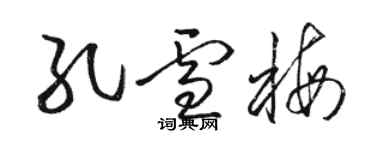 駱恆光孔雪梅草書個性簽名怎么寫