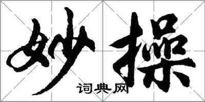 胡問遂妙操行書怎么寫