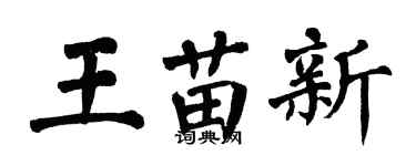 翁闓運王苗新楷書個性簽名怎么寫