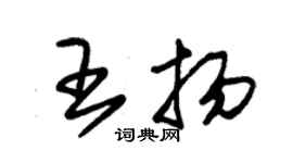 朱錫榮王揚草書個性簽名怎么寫