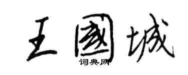 王正良王國城行書個性簽名怎么寫