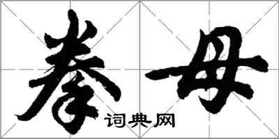 胡問遂拳母行書怎么寫