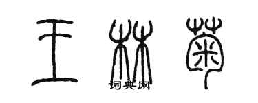 陳墨王林菊篆書個性簽名怎么寫