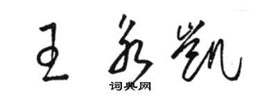 駱恆光王永凱草書個性簽名怎么寫