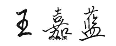 駱恆光王嘉藍行書個性簽名怎么寫