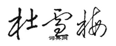 駱恆光杜雪梅草書個性簽名怎么寫