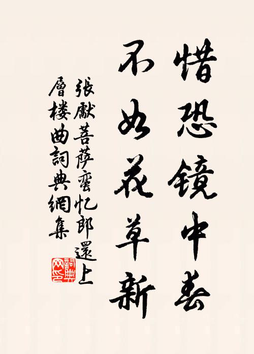張先惜恐鏡中春。不如花草新。書法作品欣賞