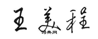 駱恆光王美程行書個性簽名怎么寫