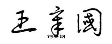 曾慶福王章國草書個性簽名怎么寫