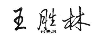 駱恆光王勝林行書個性簽名怎么寫