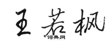 駱恆光王若楓行書個性簽名怎么寫