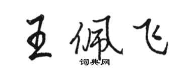 駱恆光王佩飛行書個性簽名怎么寫