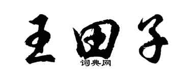 胡問遂王田子行書個性簽名怎么寫