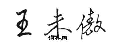 駱恆光王未傲行書個性簽名怎么寫