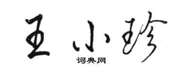 駱恆光王小珍行書個性簽名怎么寫