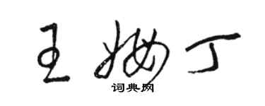 駱恆光王姆丁草書個性簽名怎么寫