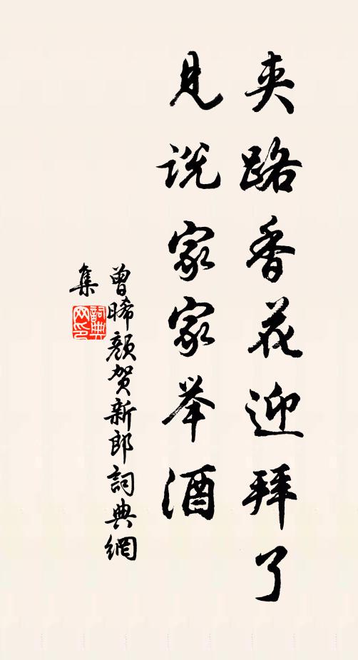 曾晞顏夾路香花迎拜了,見說家家舉酒書法作品欣賞