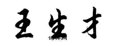 胡問遂王生才行書個性簽名怎么寫