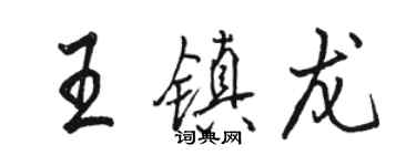 駱恆光王鎮龍行書個性簽名怎么寫