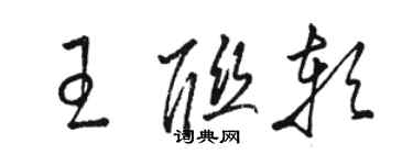 駱恆光王聯軟草書個性簽名怎么寫