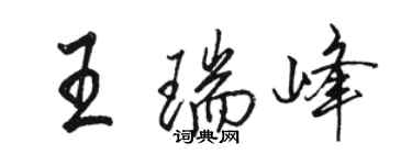 駱恆光王瑞峰行書個性簽名怎么寫