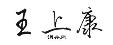 駱恆光王上康行書個性簽名怎么寫