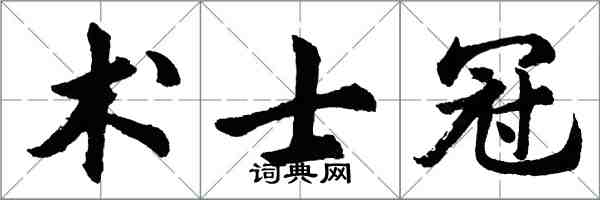 胡問遂術士冠行書怎么寫