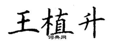 丁謙王植升楷書個性簽名怎么寫