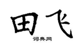 丁謙田飛楷書個性簽名怎么寫