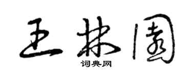 曾慶福王林園草書個性簽名怎么寫