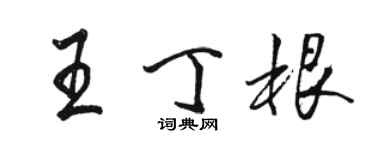 駱恆光王丁根行書個性簽名怎么寫