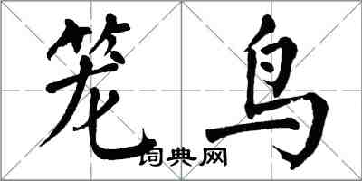 翁闓運籠鳥楷書怎么寫