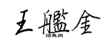 王正良王艦金行書個性簽名怎么寫