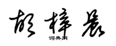 朱錫榮胡梓晨草書個性簽名怎么寫